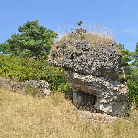 GönnersdorfHaus Hippelsteinアパートメント エクステリア 写真